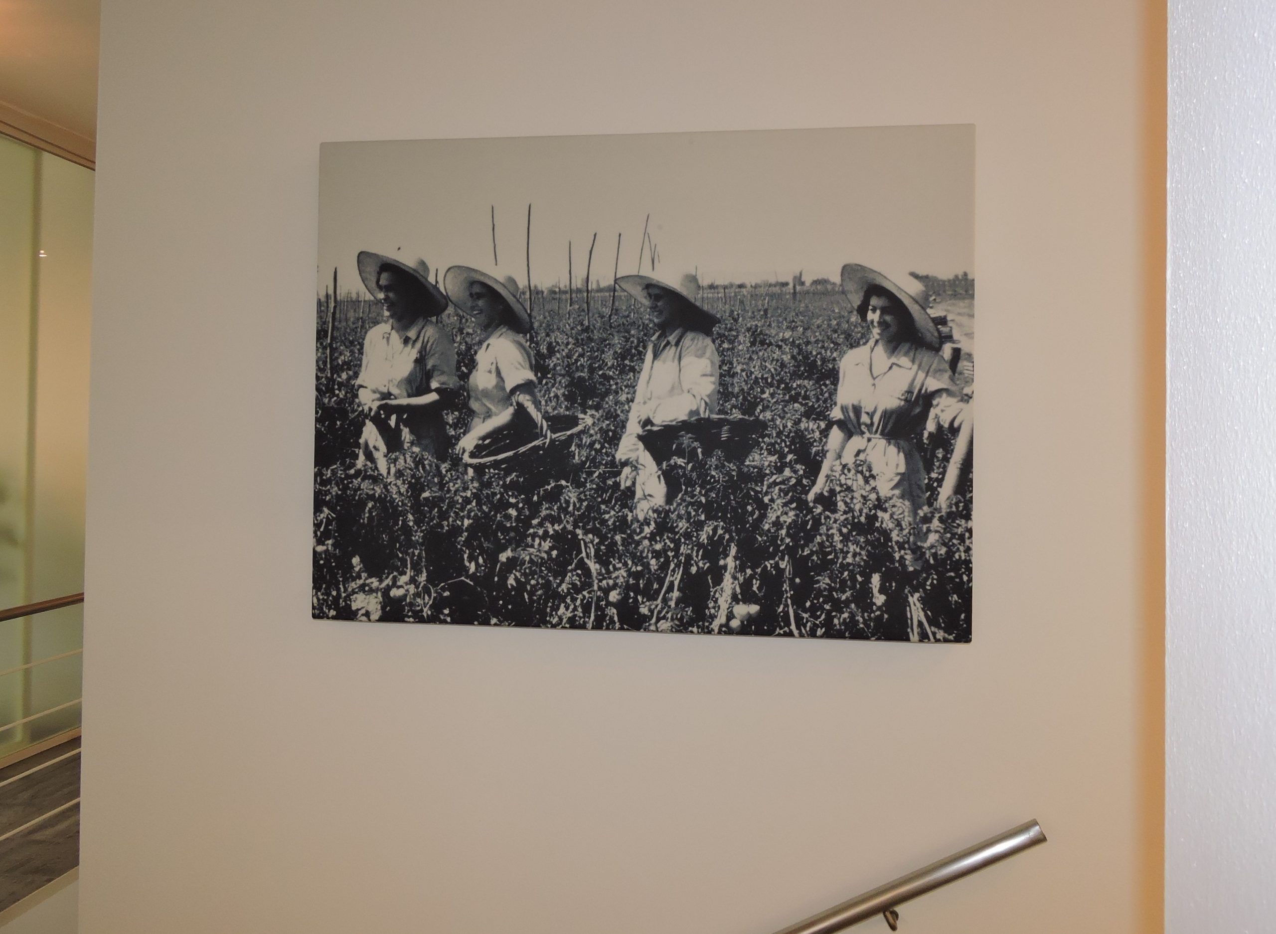 Quadri fonoassorbenti materiale e installazione-Progetto Ufficio