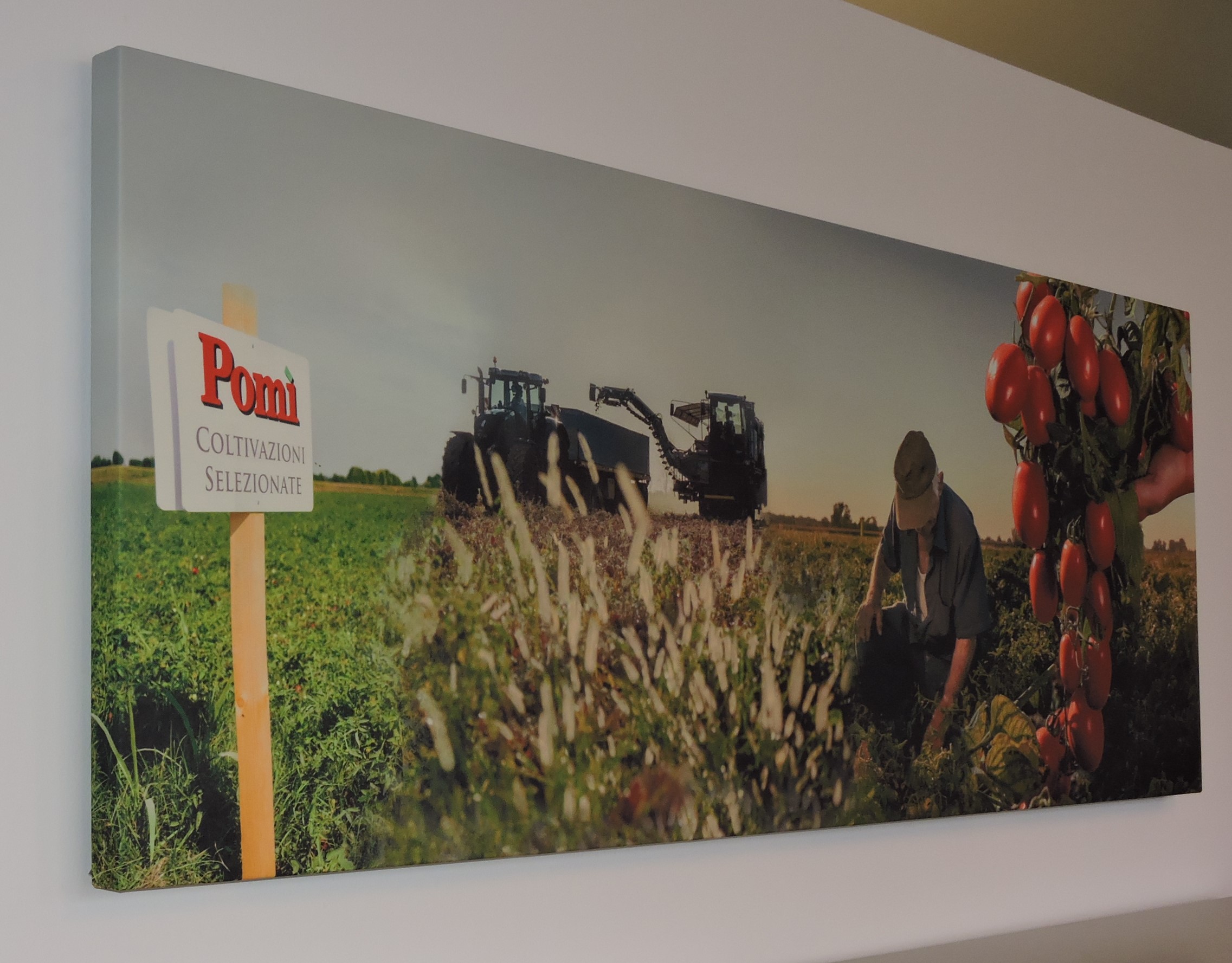 Quadri fononoassorbenti ambienti ideali-Progetto Ufficio 