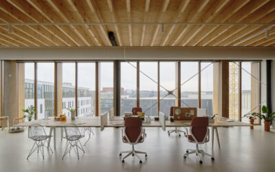 Sedia ergonomica posturale, la scelta ideale per comfort duraturo e postura corretta in ufficio